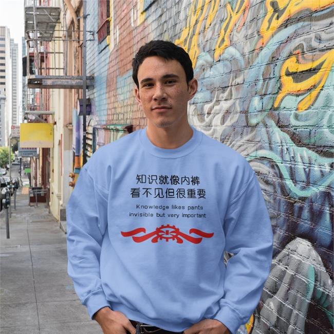 Knowledge Likes Pants Invisible But Very Important Shirt