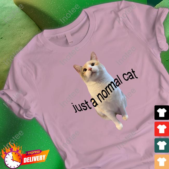 Just A Normal Cat Hooded Sweatshirt