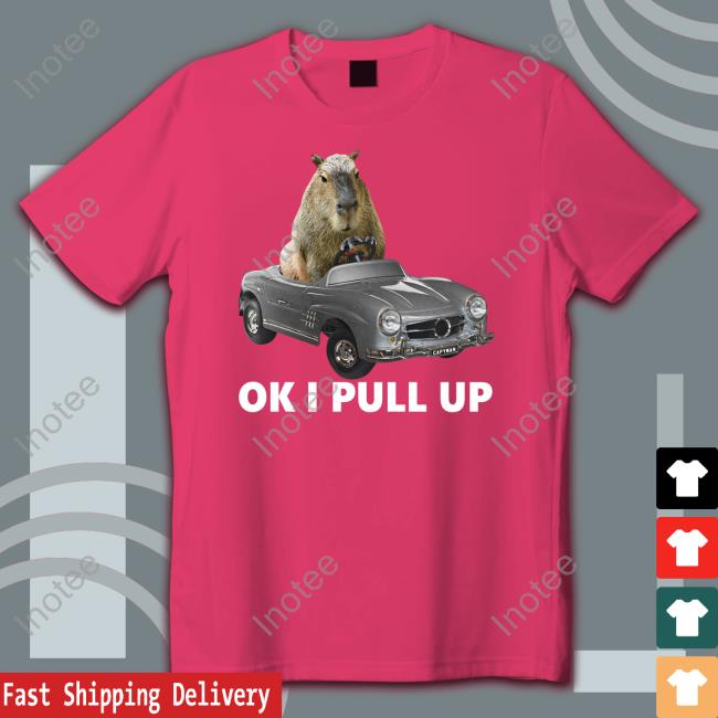 Capybara Car Tee Shirt Capybara Car Shirt