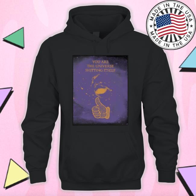 You Are The Universe Shitting Itself shirt