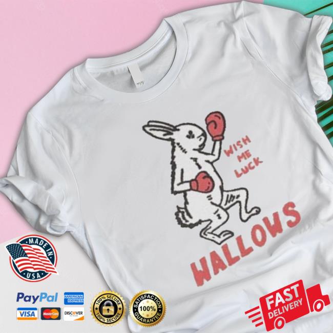 Wallows Wish Me Luck shirt