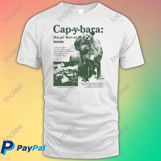 Noun Defined Capybaraman Shop Shirt