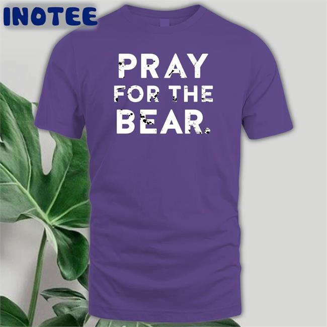 Pray For The Bear T Shirt Pray For The Bear Hoodied Sweatshirt