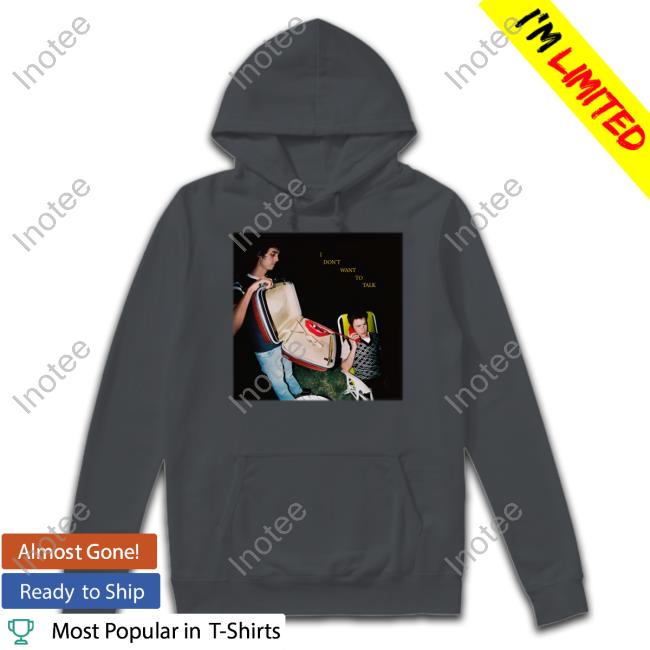 Wallows I Don't Want To Talk Hoodie Caitibugzzout