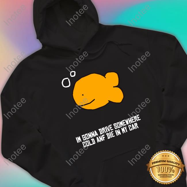 Im Gonna Drive Somewhere Cold And Die In My Car Tee Shirt