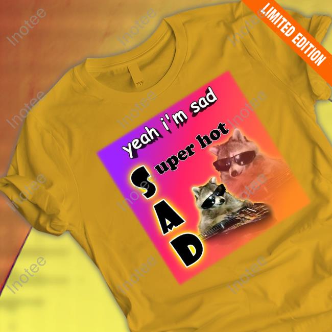 Snazzy Seagull Design Yeah I'm Sad Super Hot Cool Raccoon Word Hoodie