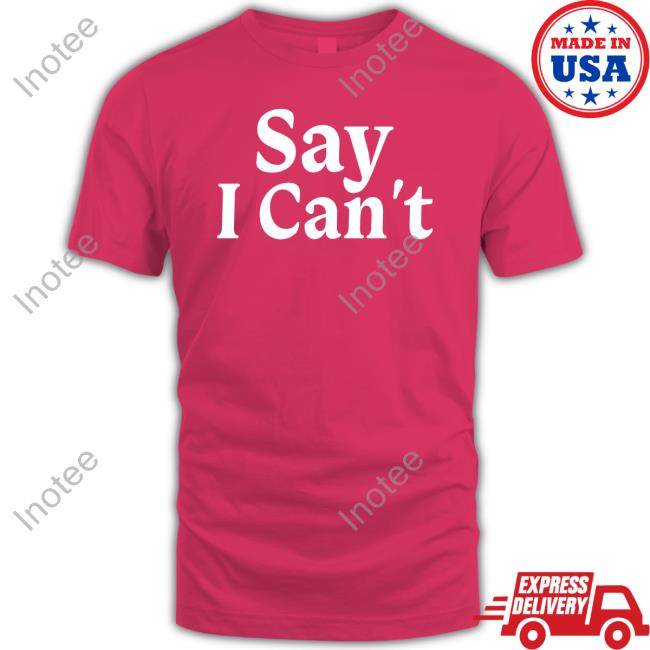 Dream On 3 Say I Can't Hoodie