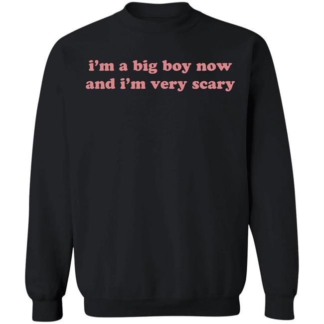 Cavetown Boys Will Be Bugs Merch Hoodie T Shirt Cavetown Boys Will Be Bugs Merch Hoodie T Shirt
