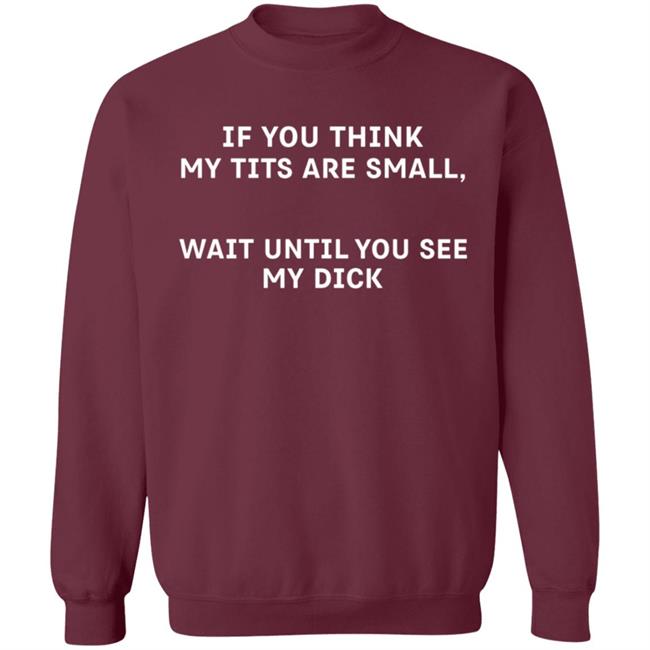 If You Think My Tits Are Small, Wait Until You See My Dick Shirt Hoodie Sweatshirt If You Think My Tits Are Small, Wait Until You See My Dick Shirt Hoodie Sweatshirt
