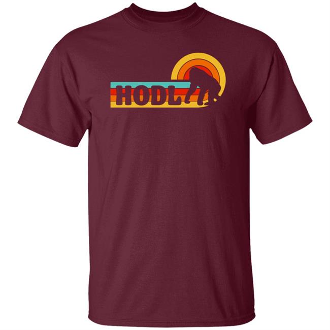 Hodl Amc Shirt Hold Amc Merch Store Shirt hoodie Sweatshirt Hodl Amc Shirt Hold Amc Merch Store Shirt hoodie Sweatshirt