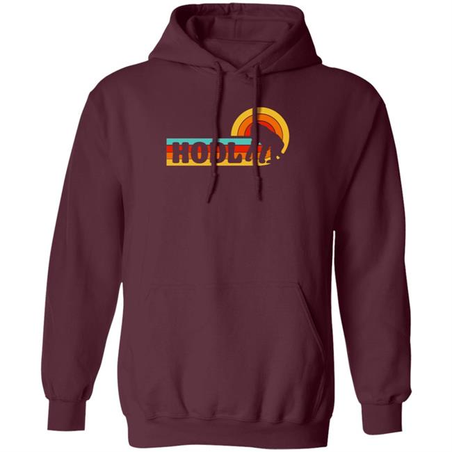 Hodl Amc Shirt Hold Amc Merch Store Shirt hoodie Sweatshirt Hodl Amc Shirt Hold Amc Merch Store Shirt hoodie Sweatshirt