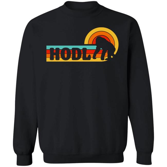Hodl Amc Shirt Hold Amc Merch Store Shirt hoodie Sweatshirt Hodl Amc Shirt Hold Amc Merch Store Shirt hoodie Sweatshirt