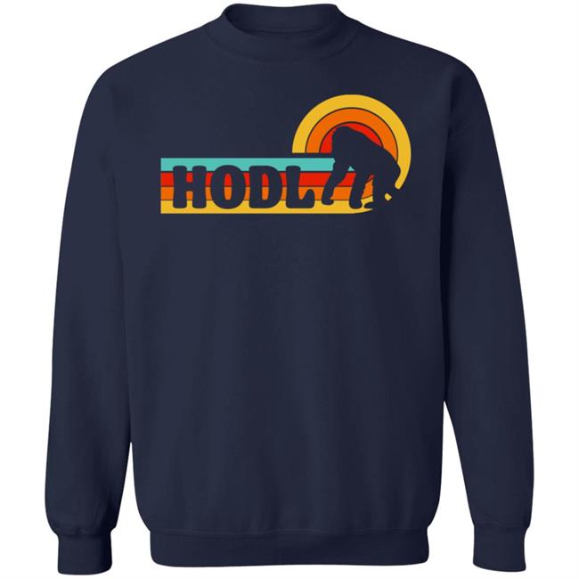 Hodl Amc Shirt Hold Amc Merch Store Shirt hoodie Sweatshirt Hodl Amc Shirt Hold Amc Merch Store Shirt hoodie Sweatshirt