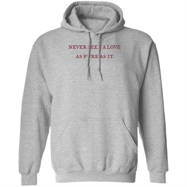 Never Seen A Love As Pure As It Hoodie Taylor Swift Merch