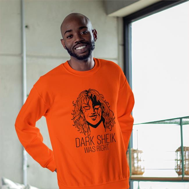 Dark Sheik Was Right Shirt Sheikah Hoodie Darksheikftf