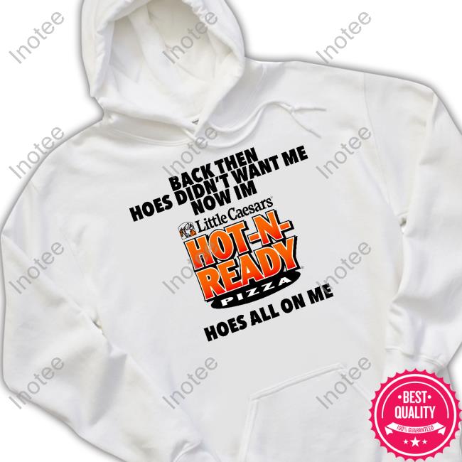 Methsyndicate Back Then Hoes Didn't Want Me Now Im Hot N Ready Pizza Hoodie