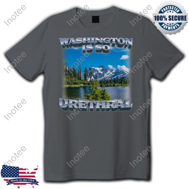 Swag Stimulus Merch Washington Is So Urethral Tee