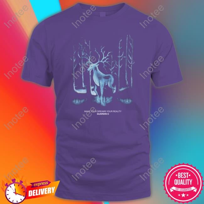 Make Your Dreams Your Reality T Shirt