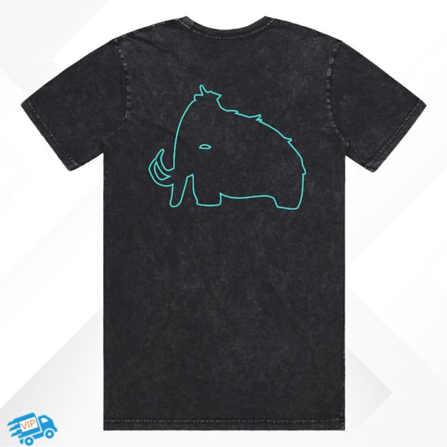 Official Wooli Merch Bar Woolidrop Wooli Teal Logo Shirt New Wooli Music MerchBar
