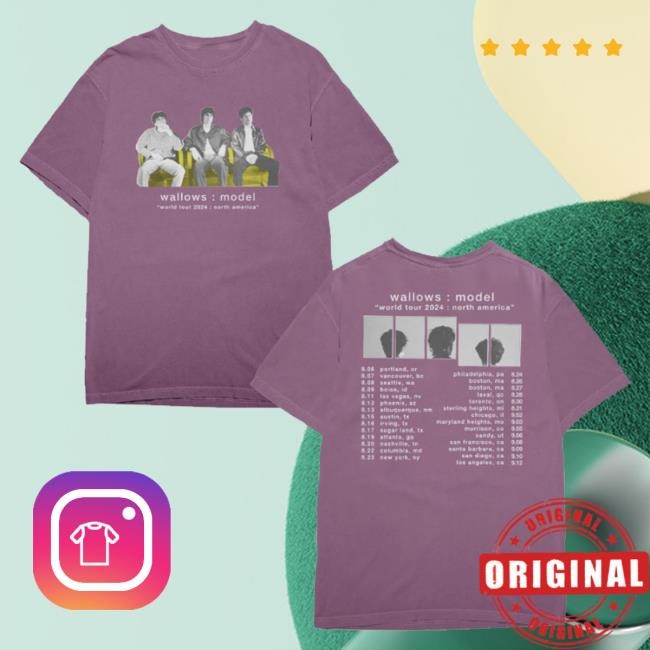 Wallows Merch Chair Photo Tour T-Shirt