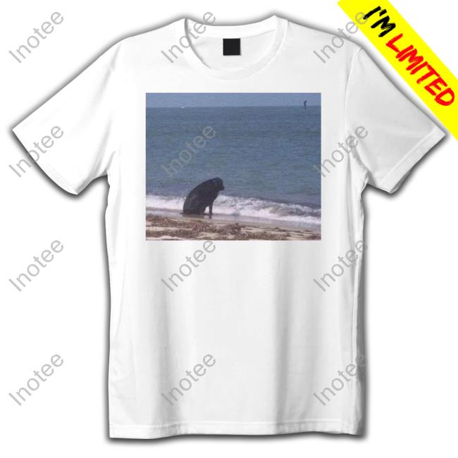 The Silliest T-Shirt Company Sad Dog At The Beach Shirts
