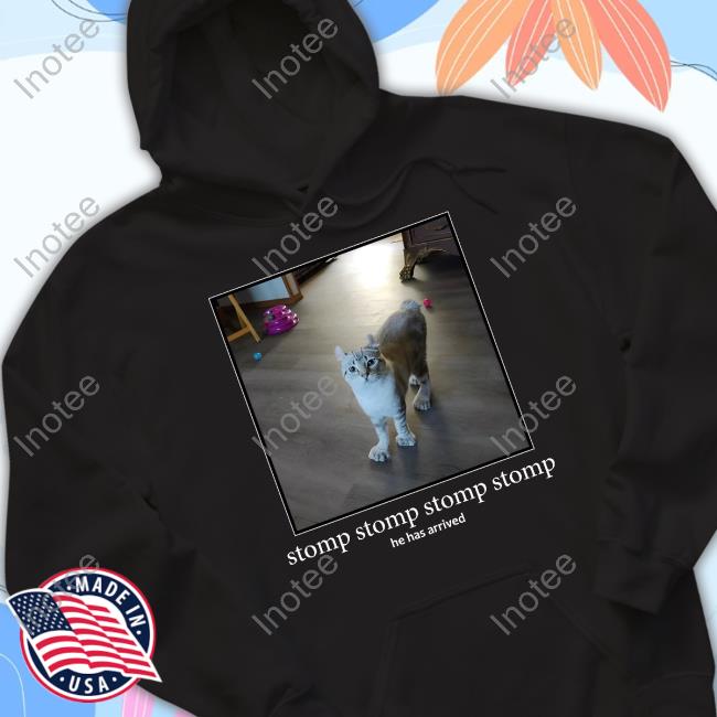 Punch Cat Stomp Stomp Stomp Stomp He Has Arrived Hoodie