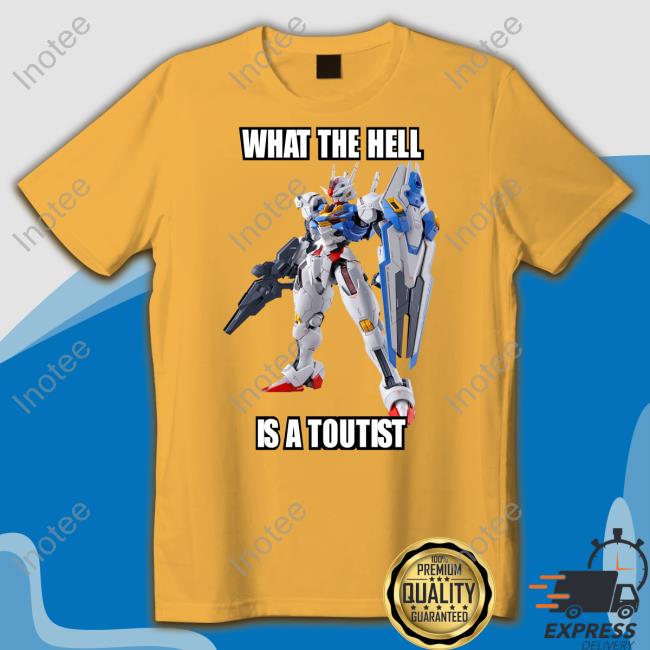 Deltythe73rd What The Hell Is A Tourist Hoodie