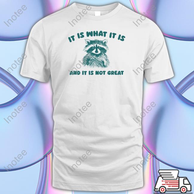 Sillycityco It Is What It Is And It Is Not Great Raccoon T-Shirt,Hoodie,Sweatshirt