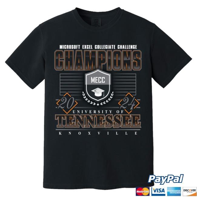 Microsoft Excel Champions 2024 Hoodie